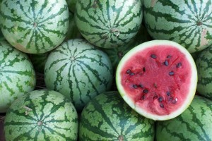 august-watermelon