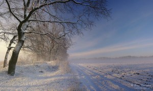 фото Сергія Криниці