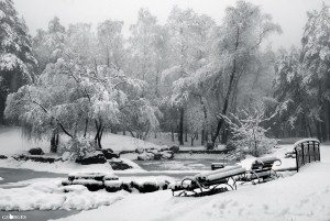 фото Юрія Солонька