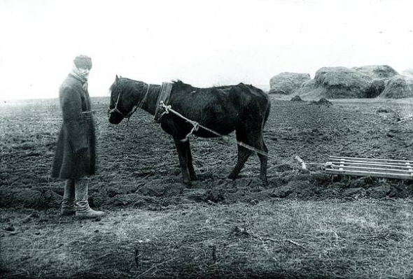 Господар-одноосібник у полі, Полтавська область, 1928 рік