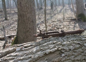 Цю світлину зроблено у березні 2015 року на місці останнього табору "залишенців" у Холодному Яру... Фото Андрія Кравця