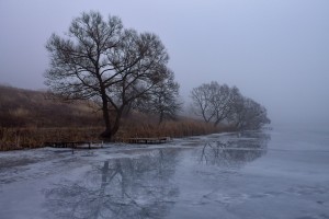 Фото Alexey Argentum on 500px.com