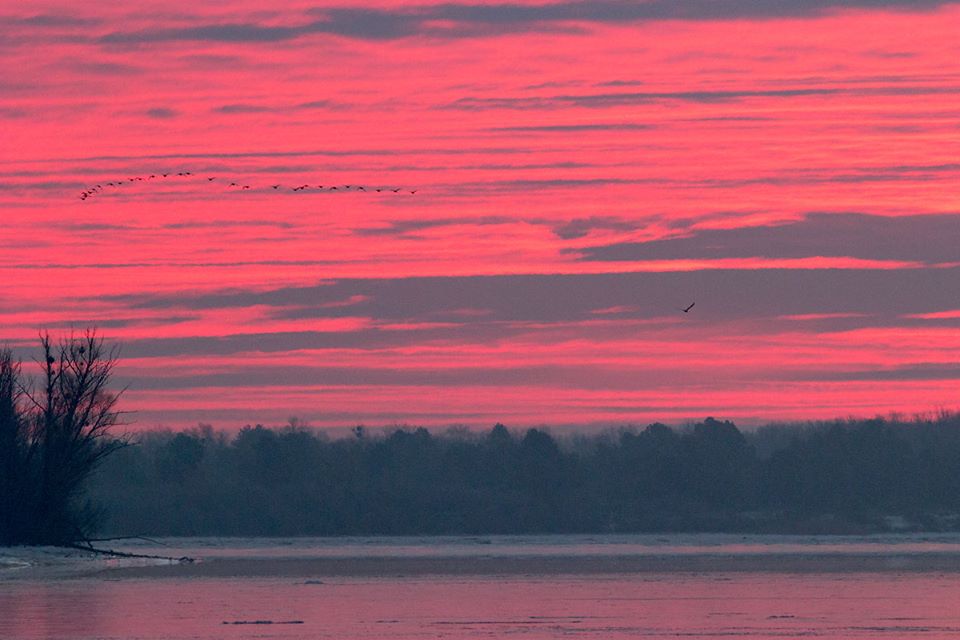 Морозний ранок Дніпро біля Канівського заповідника, 21.12.2016. Фото Миколи Борисенка